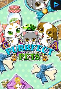 Bocoran RTP PURRFECT PETS di Absen Harian