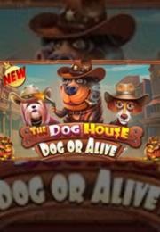 Bocoran RTP The Dog House – Dog or Alive di Absen Harian