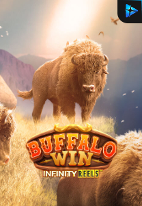 Bocoran RTP Buffalo Win Infinity Reels di Absen Harian